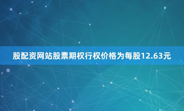 股配资网站股票期权行权价格为每股12.63元