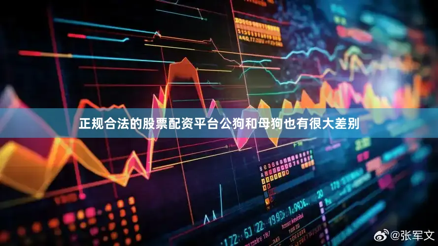 正规合法的股票配资平台公狗和母狗也有很大差别