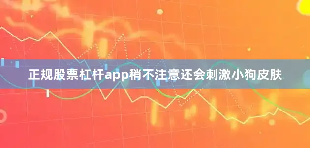 正规股票杠杆app稍不注意还会刺激小狗皮肤
